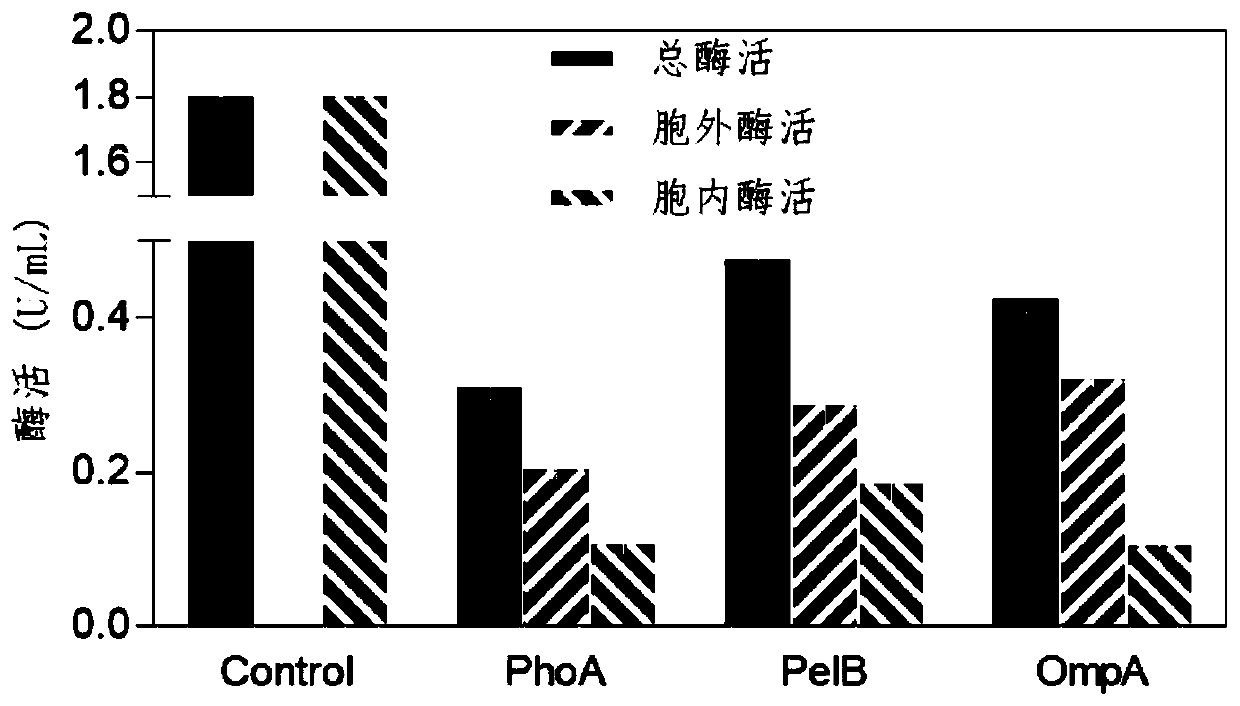 Chondroitin sulfate ABC lyase mutant and secretory expression method thereof