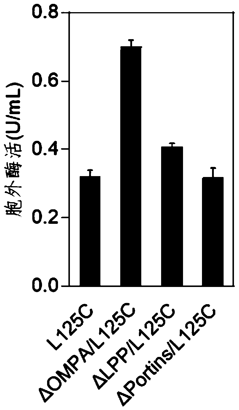 Chondroitin sulfate ABC lyase mutant and secretory expression method thereof