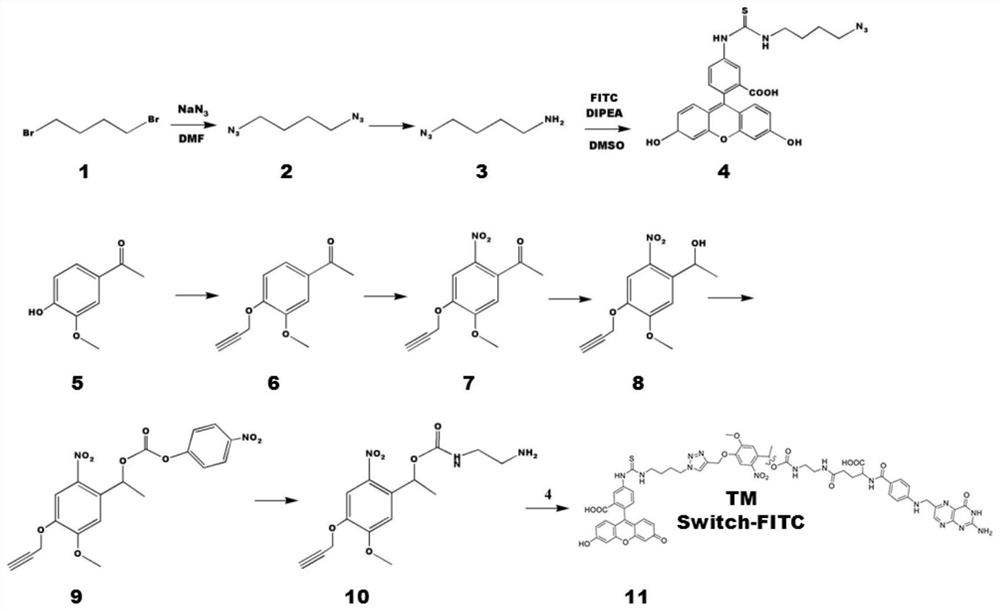 Tether for controlling activation/inhibition of chimeric antigen receptor t cells and applications thereof