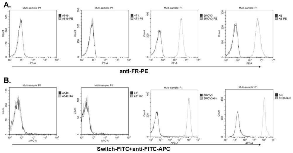 Tether for controlling activation/inhibition of chimeric antigen receptor t cells and applications thereof