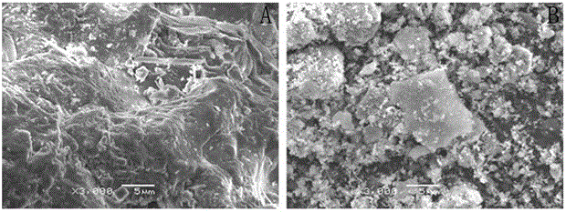 A kind of method that utilizes lead-zinc tailings to prepare inorganic mineral polymer