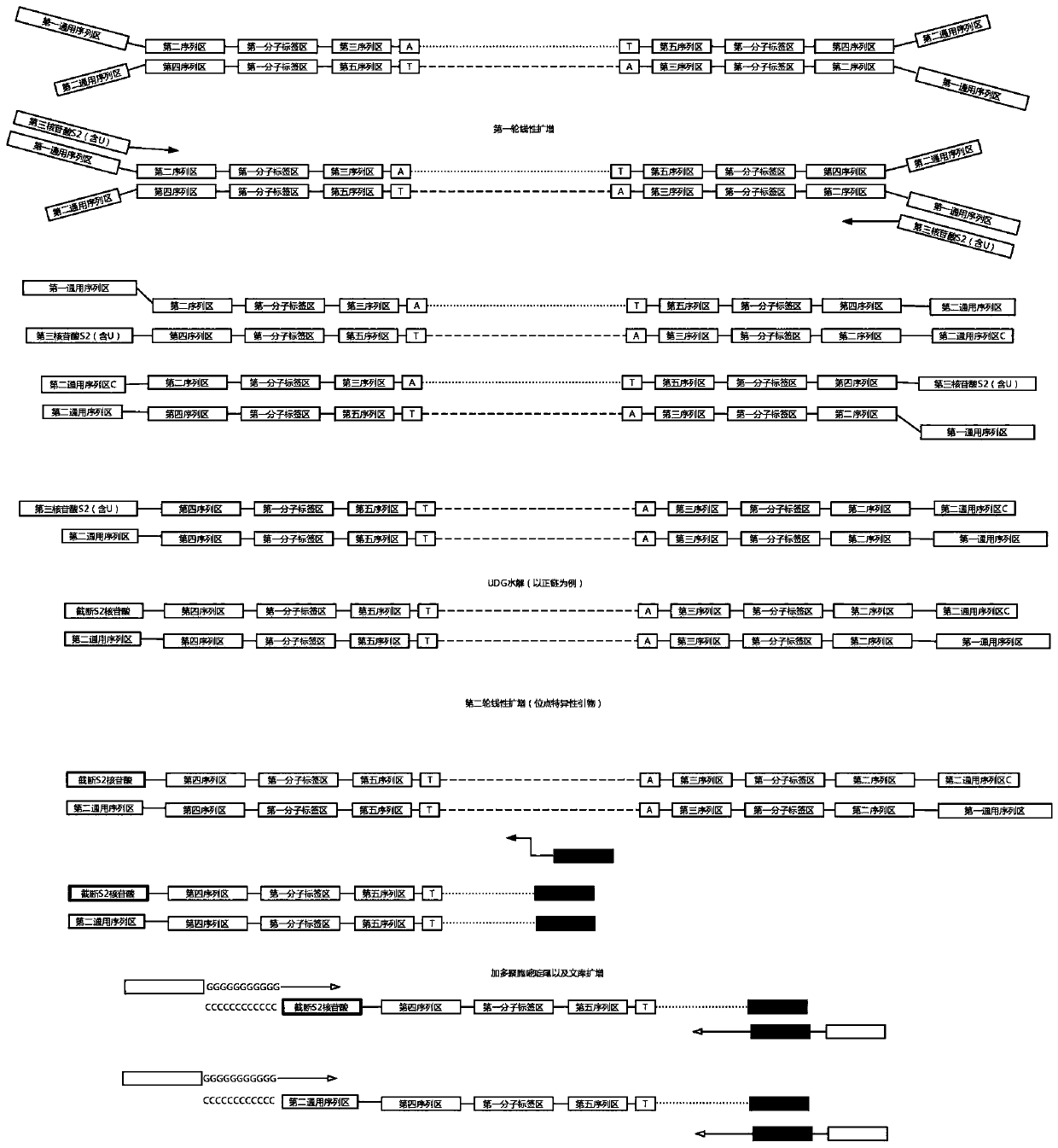 Construction method of high-flux sequencing library and reagent kit for library construction