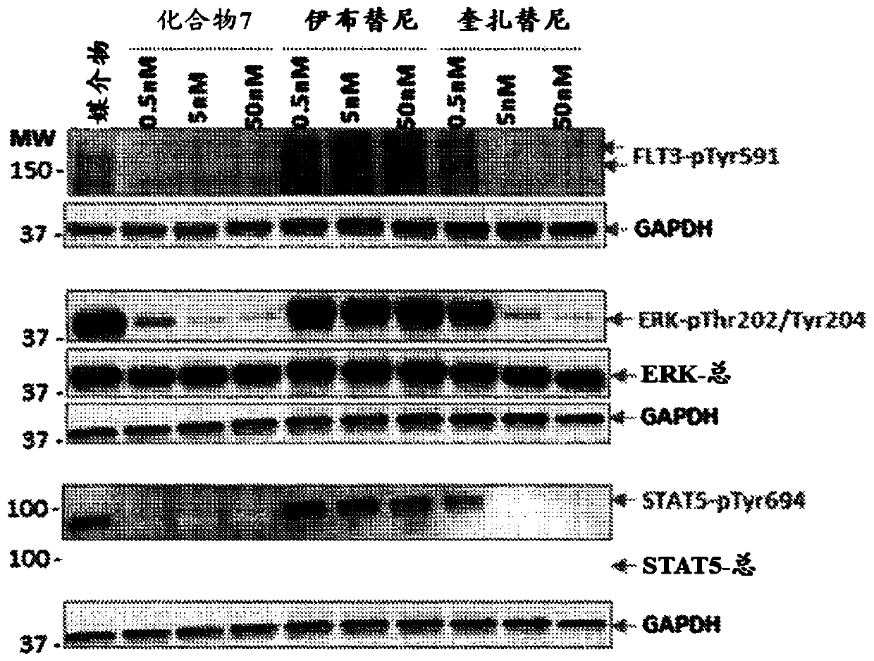 Methods for treating patients with hematologic malignancies