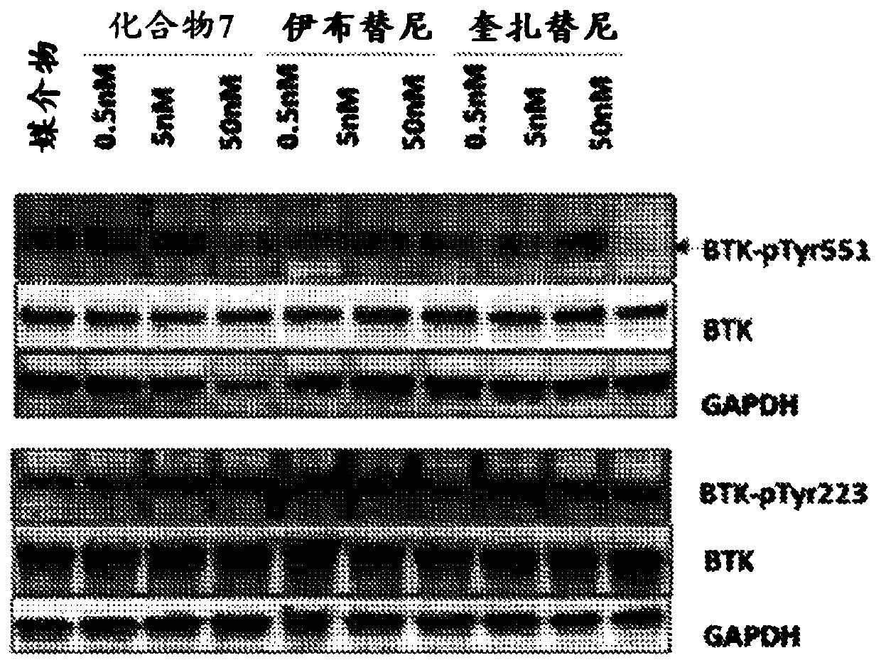 Methods for treating patients with hematologic malignancies