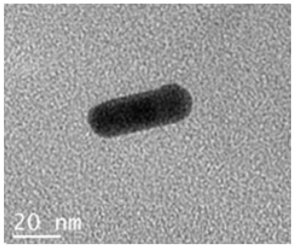 Nano drug carrier au/mno  <sub>2</sub> And its preparation method and application