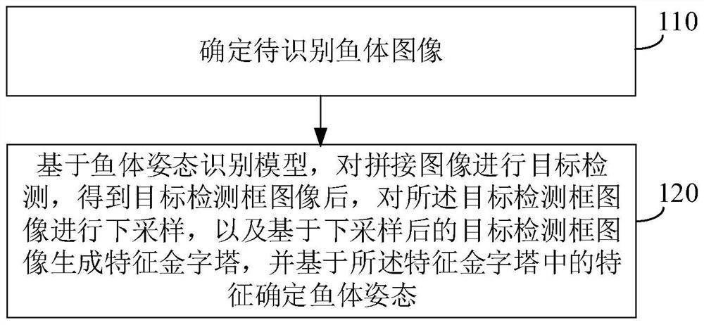 Underwater fish body posture dynamic identification method and device