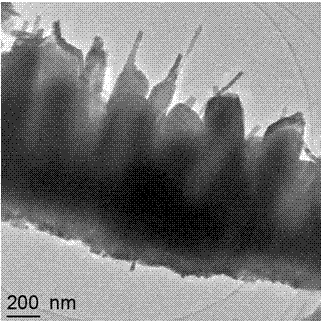 Preparation method of injector-shaped ZnO nanostructural array for field emission