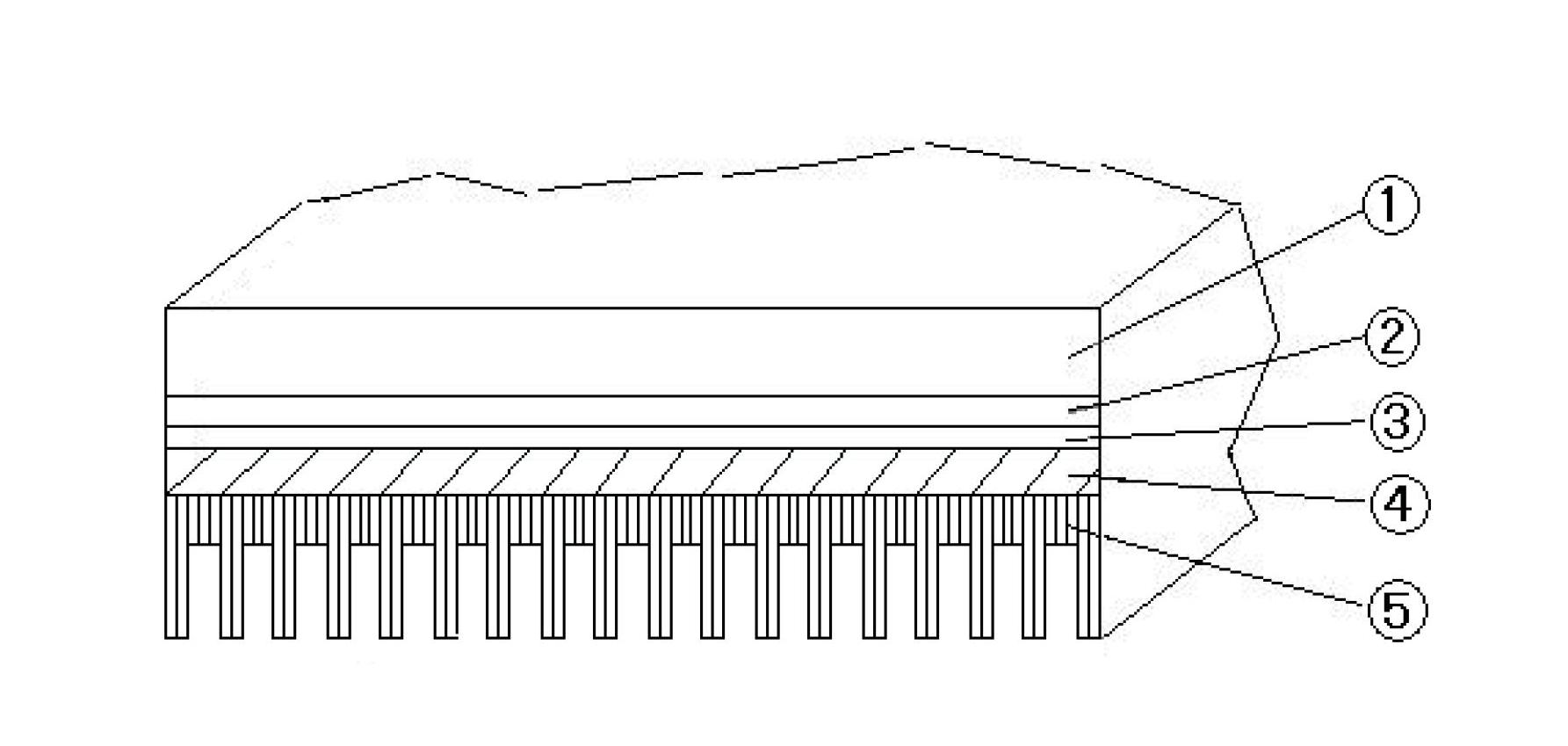 Synergistic heat radiation solar cell assembly and preparation method thereof