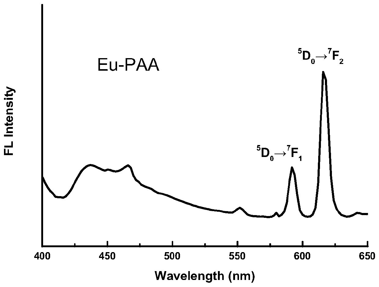 Polyacrylic acid rare earth fluorescent gel and preparation method thereof