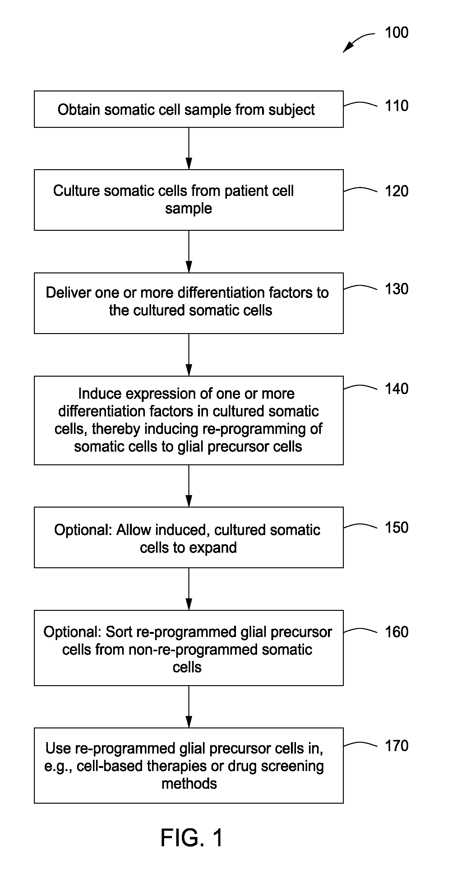 Cell fate conversion of differentiated somatic cells into glial cells