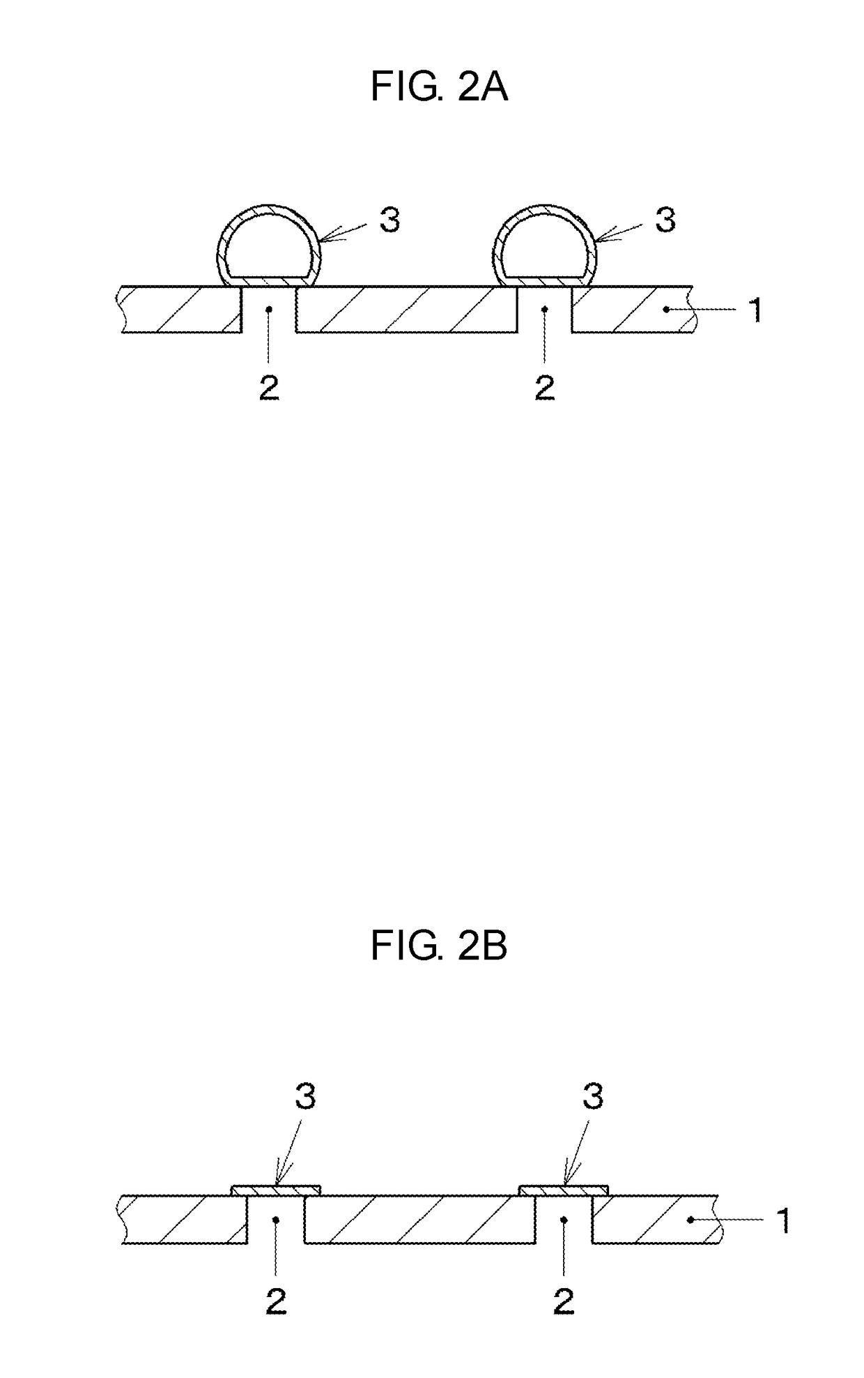 Cell membrane observation and analysis device and cell membrane observation and analysis method