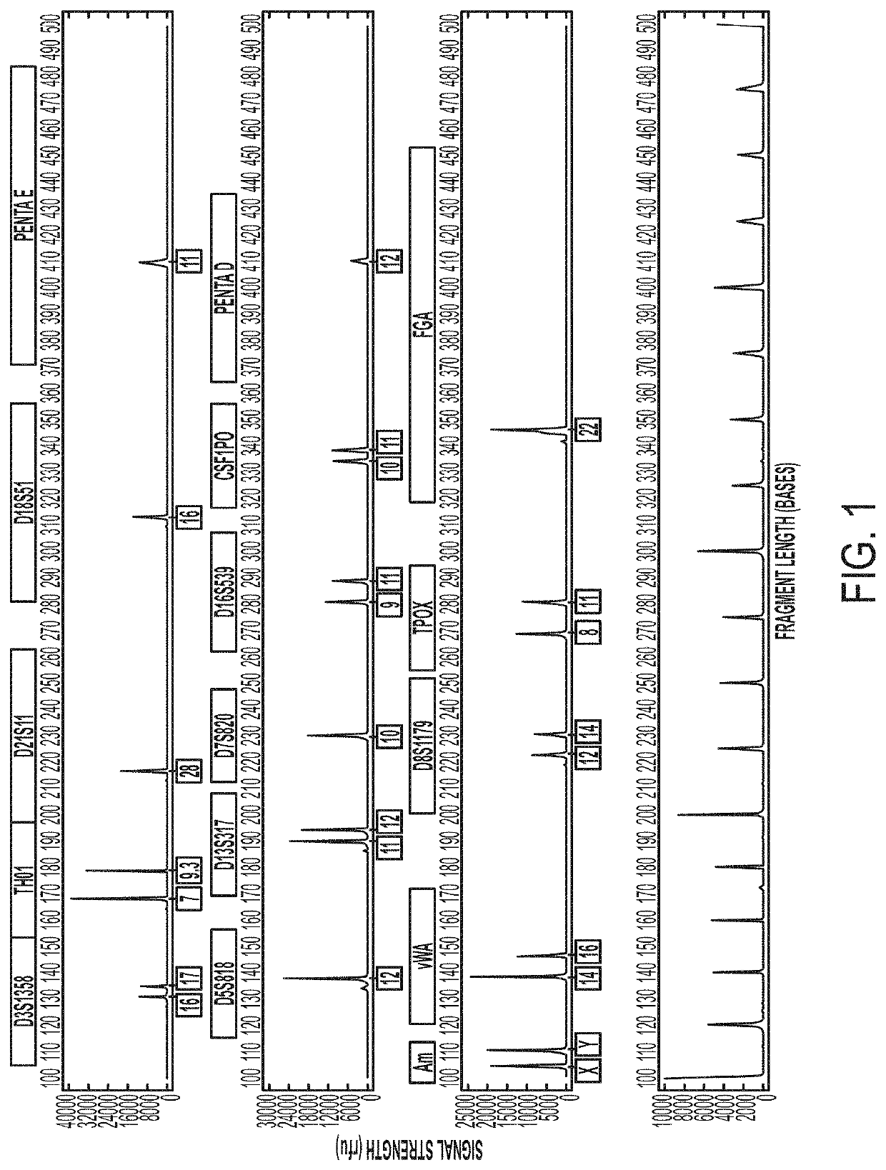 Systems and Methods for Rapid Nucleic Acid Extraction, Purification and Analysis from Semen