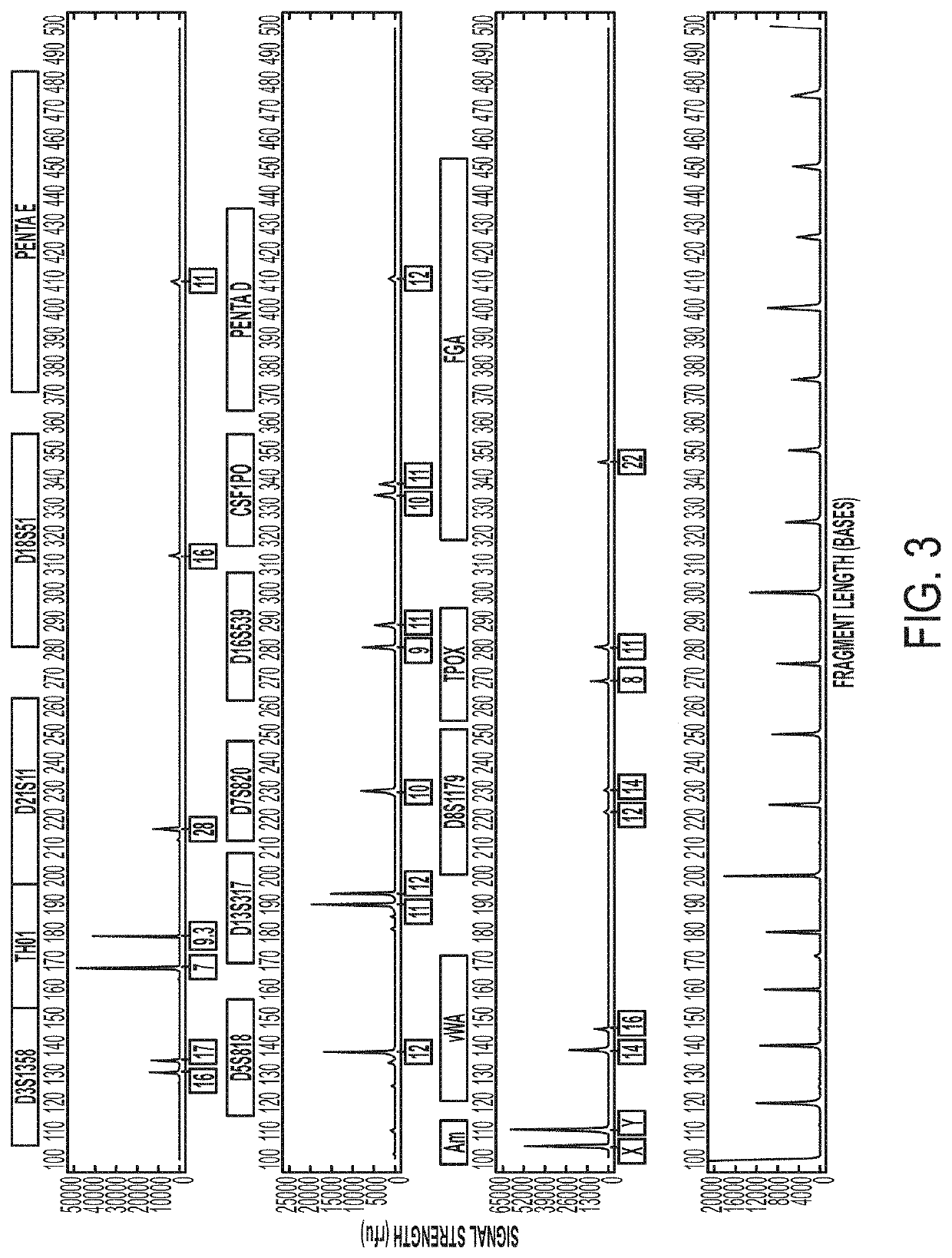 Systems and Methods for Rapid Nucleic Acid Extraction, Purification and Analysis from Semen