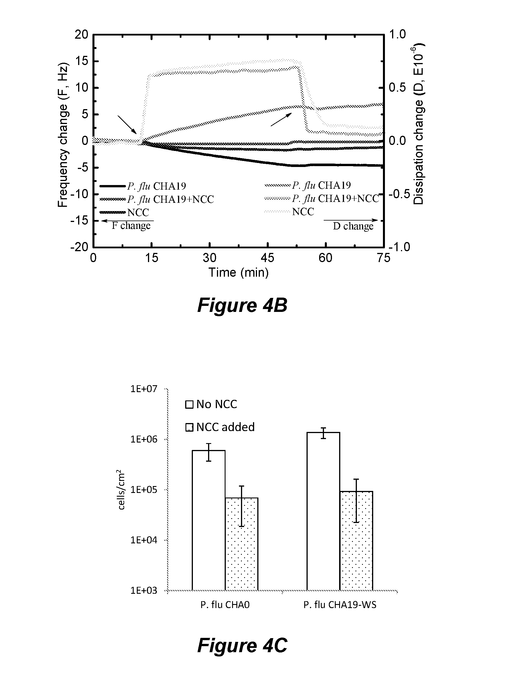 Nanocrystalline cellulose hydrogels for inhibition of bacterial adhesion