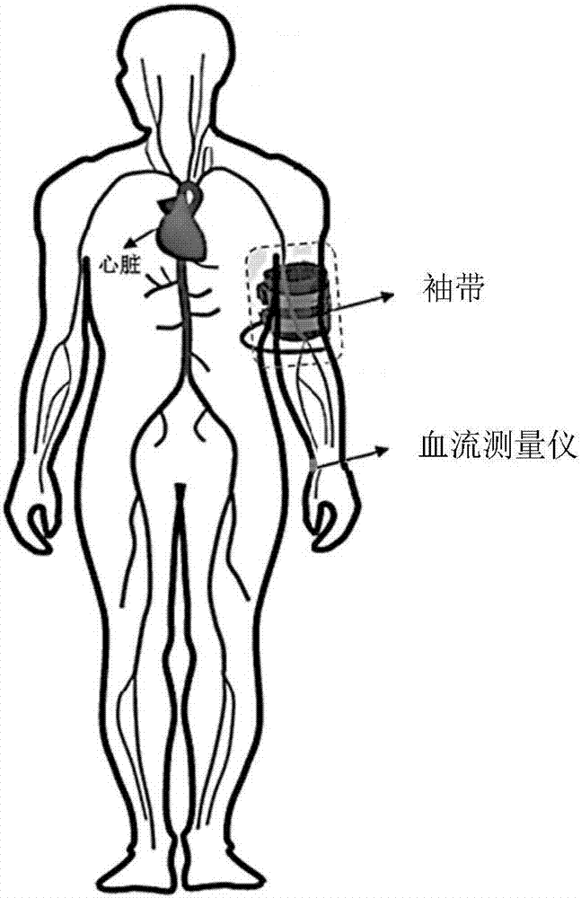 Non-invasive detection system with peripheral vascular blood flow adjusting function