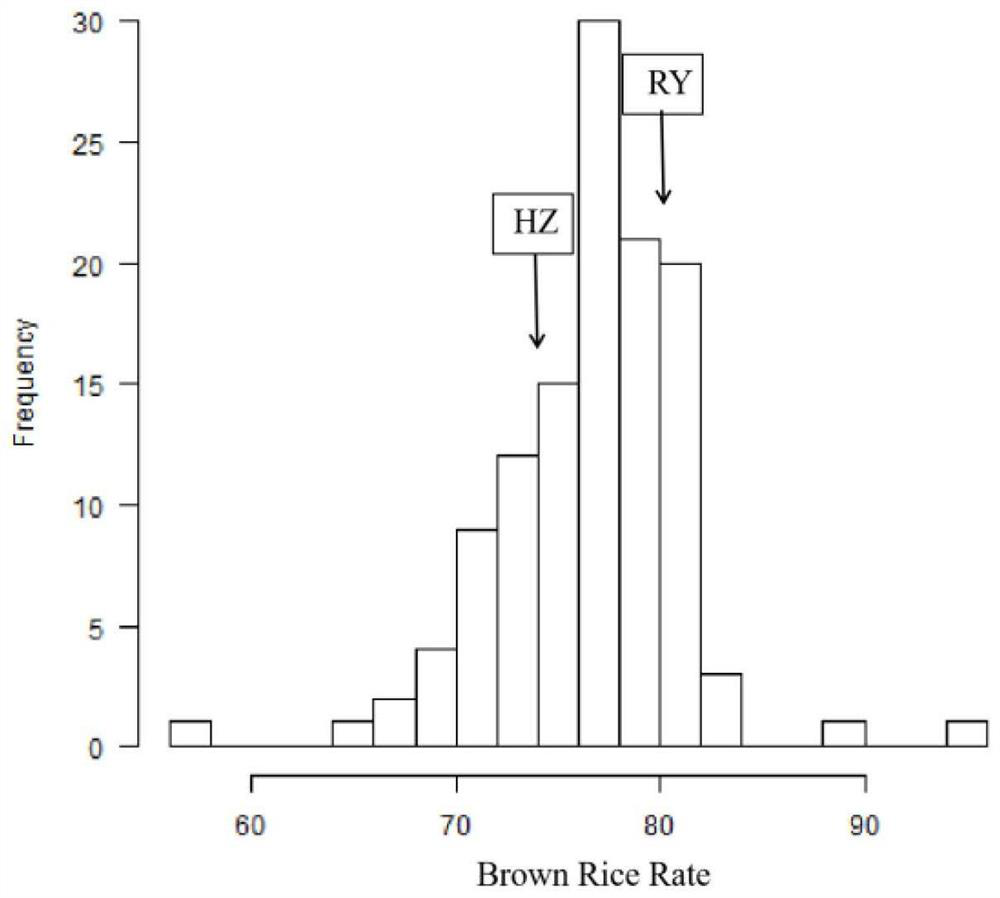 Major QTL for regulating and controlling brown rice rate of rice, molecular marker and application