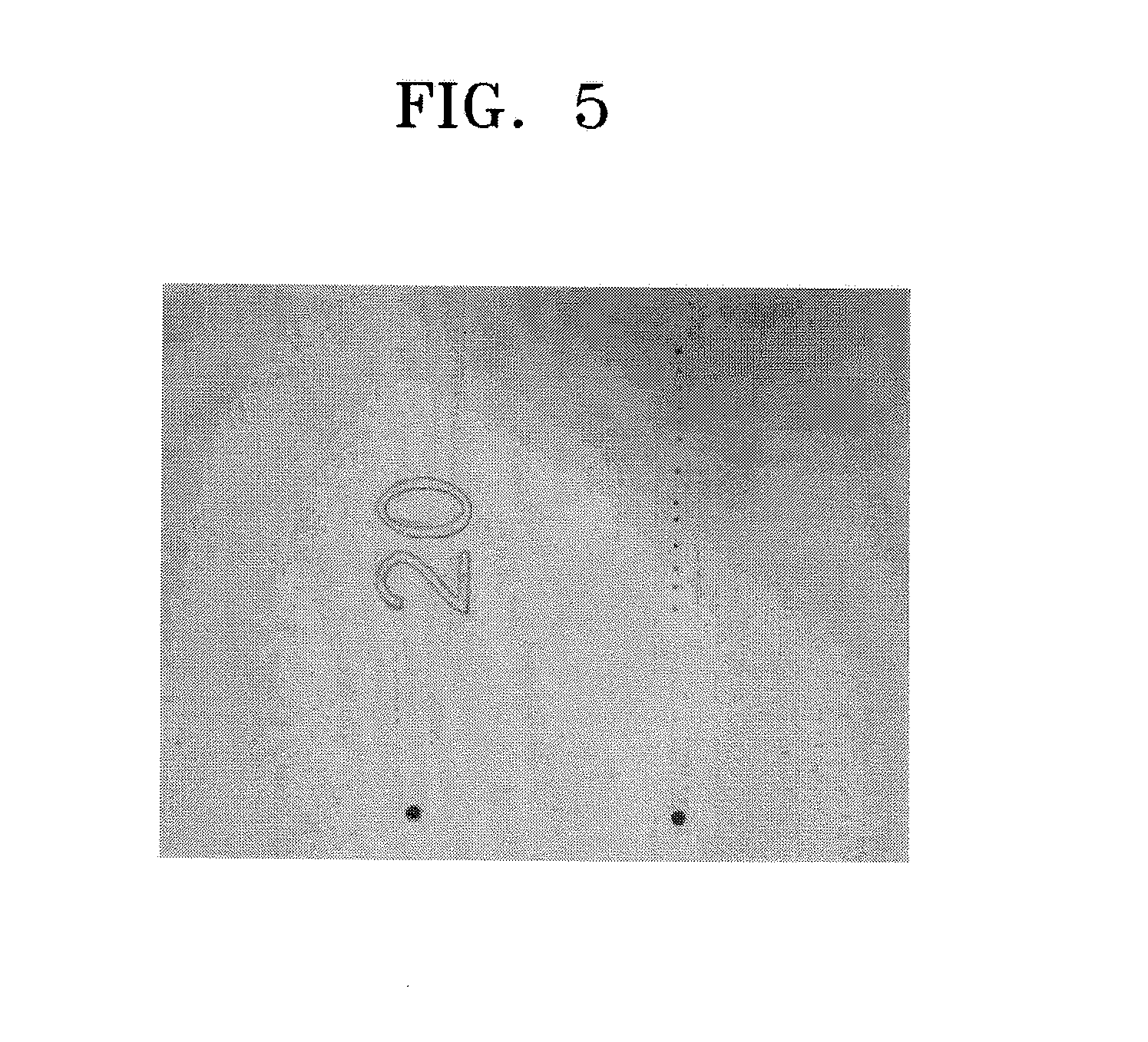 Cleaning solution for cleaning surface of nozzle plate of inkjet printhead and method of cleaning surface of nozzle plate by using the cleaning solution