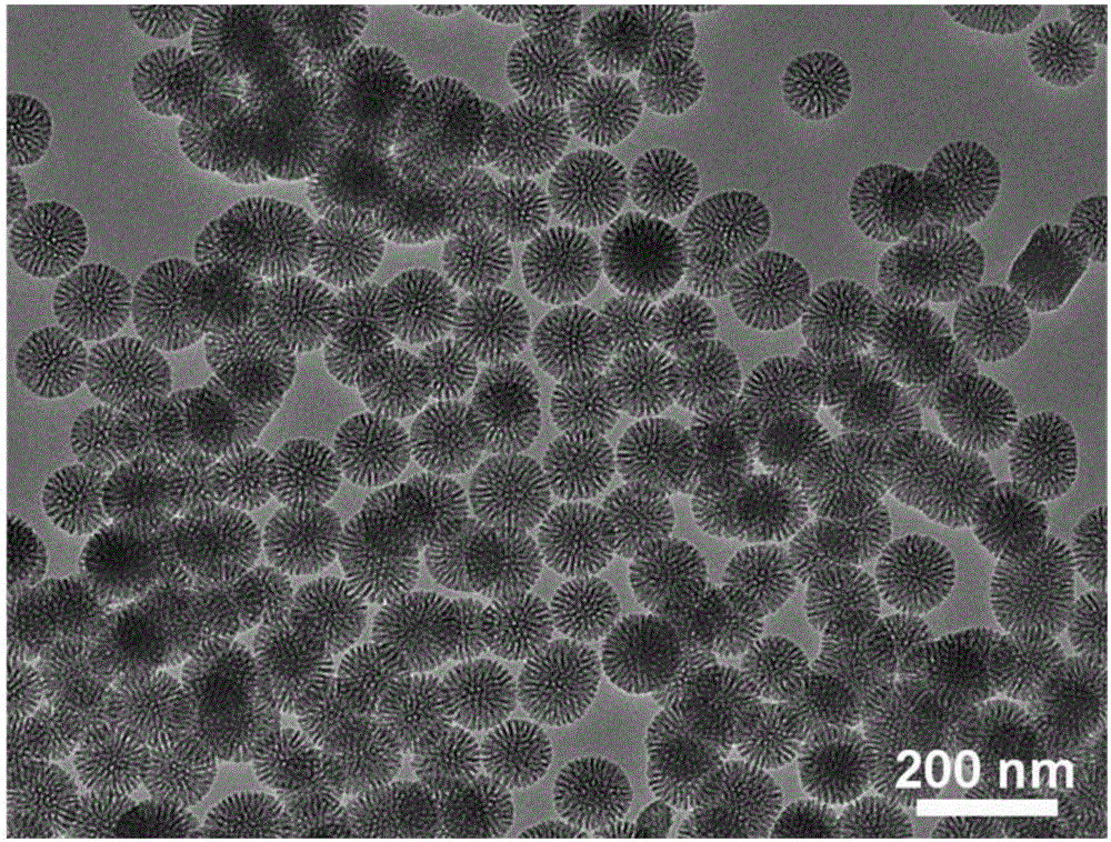 Biodegradable mesoporous carbon and silicon nano-sphere and method for preparing same