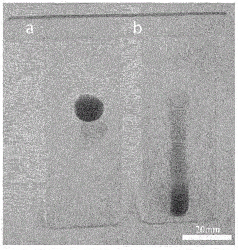 Quickly UV (ultraviolet) curable and water soluble chitosan derivative and synthesis method thereof