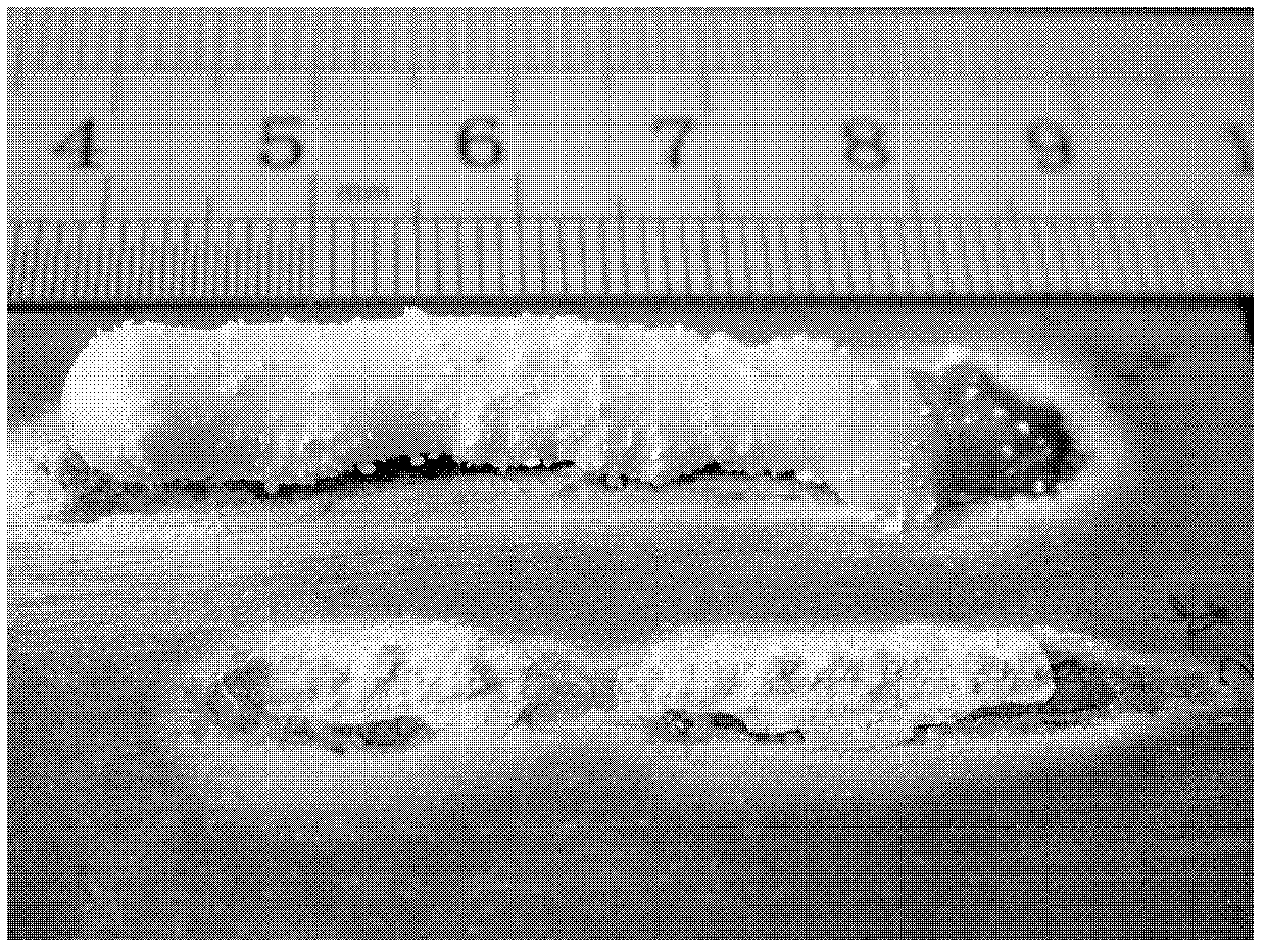 Method for preparing aluminum oxide-based eutectic ceramic through laser powder feeding method