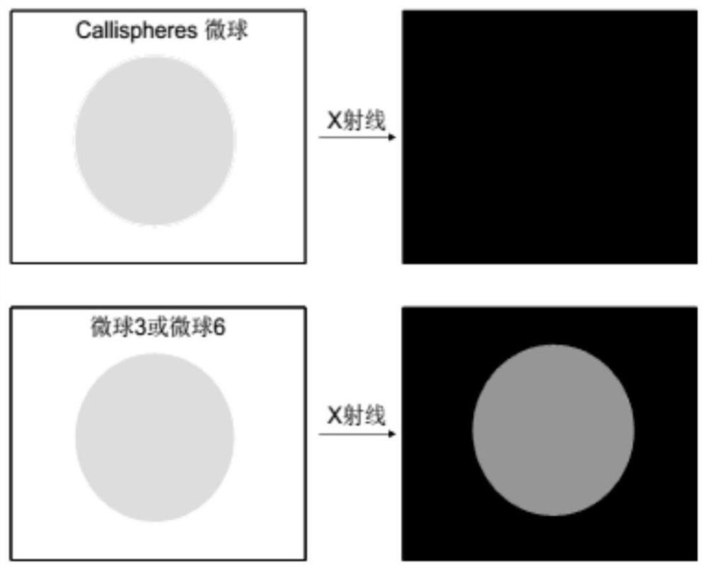 A kind of visible polyhydroxy polymer embolization microsphere and preparation method thereof