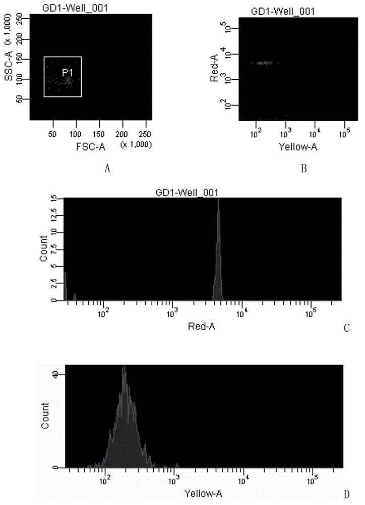 Method for detection of viral hemorrhagic sepsis virus based on liquid chip