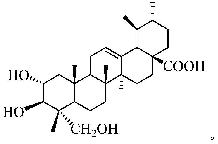 Asiatic acid derivatives, their preparation methods and their application in the preparation of antidepressants