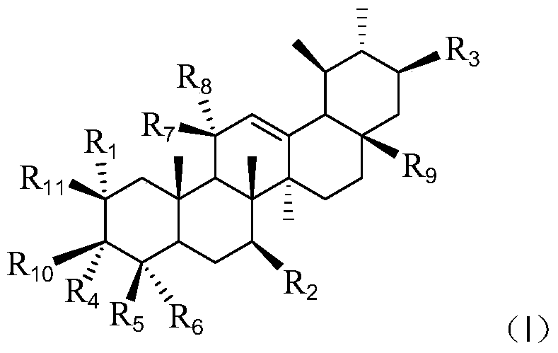 Asiatic acid derivatives, their preparation methods and their application in the preparation of antidepressants