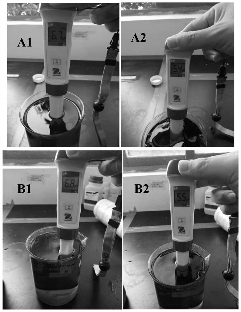 Anodic oxide film dyeing stabilizer and anodic oxide film dyeing method