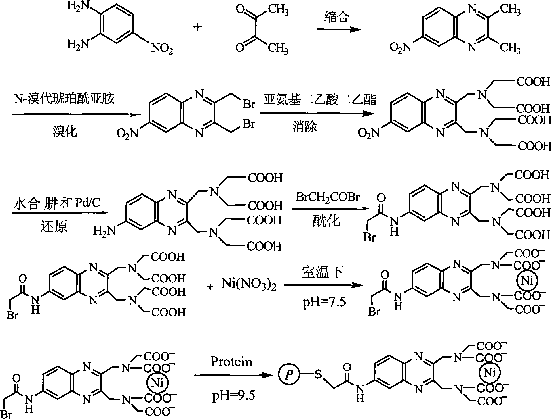 Synthesis of nickel-ion artificial antigen chelant and preparation of nickel monoclonal antibody
