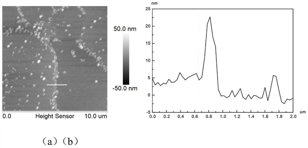 Method for preparing pure aluminum metallographic sample through dielectric barrier discharge technology