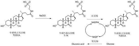 Method for preparing tauroursodeoxycholic acid by two-step method