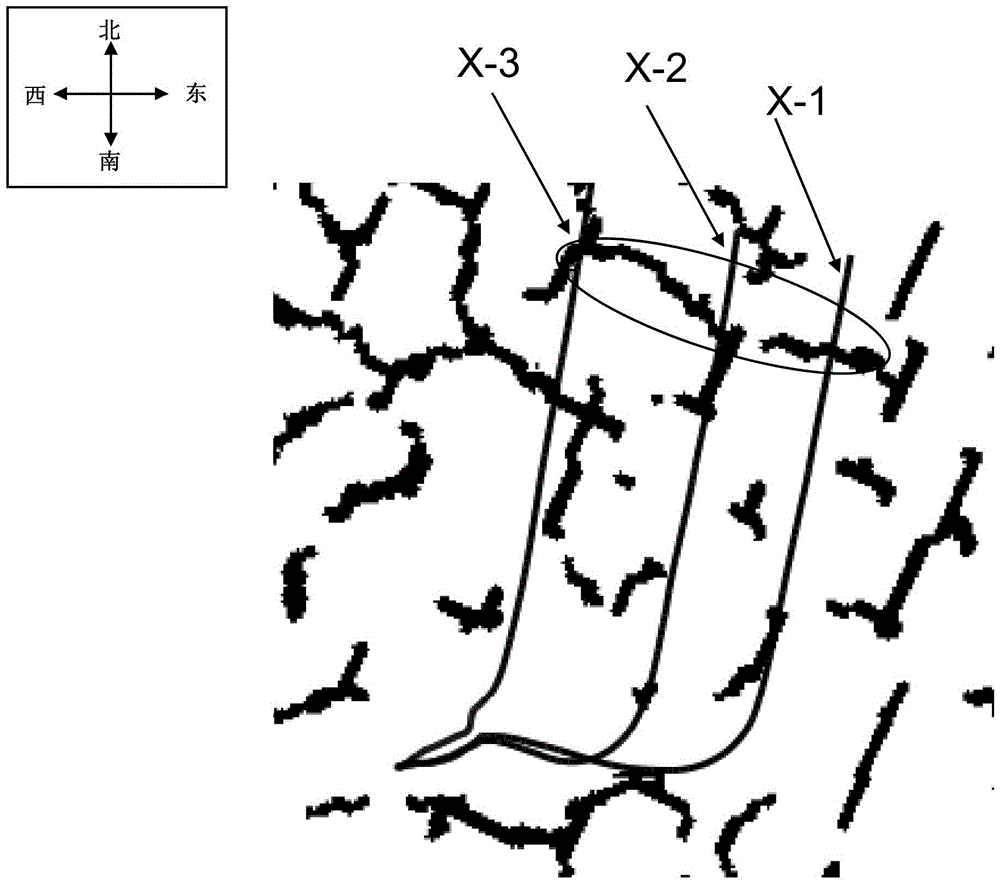 Shale Gas Reservoir Fracture Modeling Method Based on Microseismic Monitoring Data