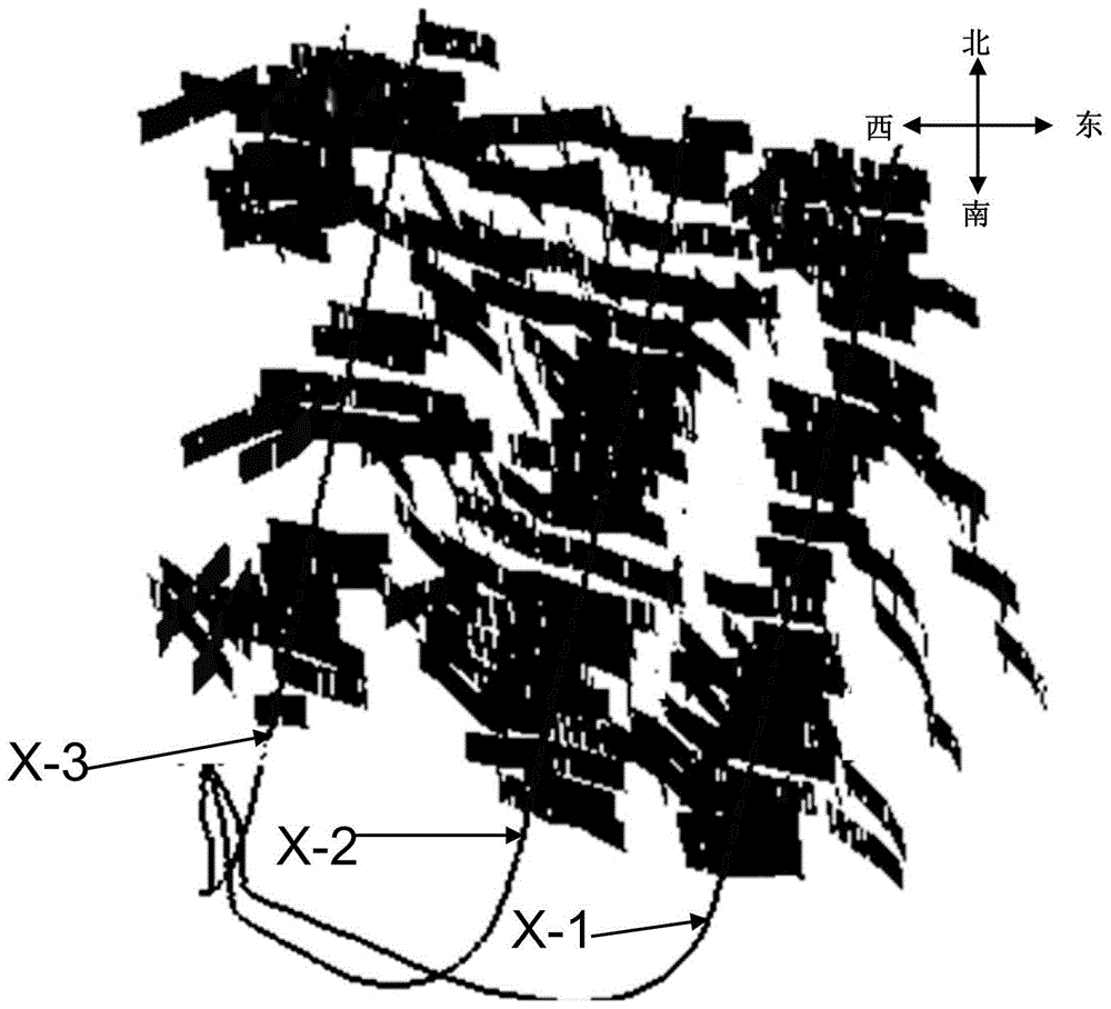 Shale Gas Reservoir Fracture Modeling Method Based on Microseismic Monitoring Data