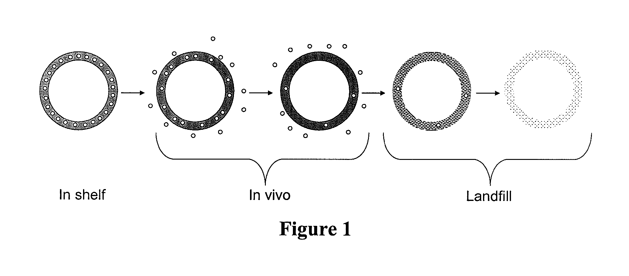 Biodegradable intravaginal devices for delivery of therapeutics