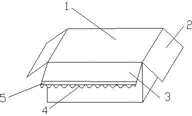 Packaging carton and packaging method thereof