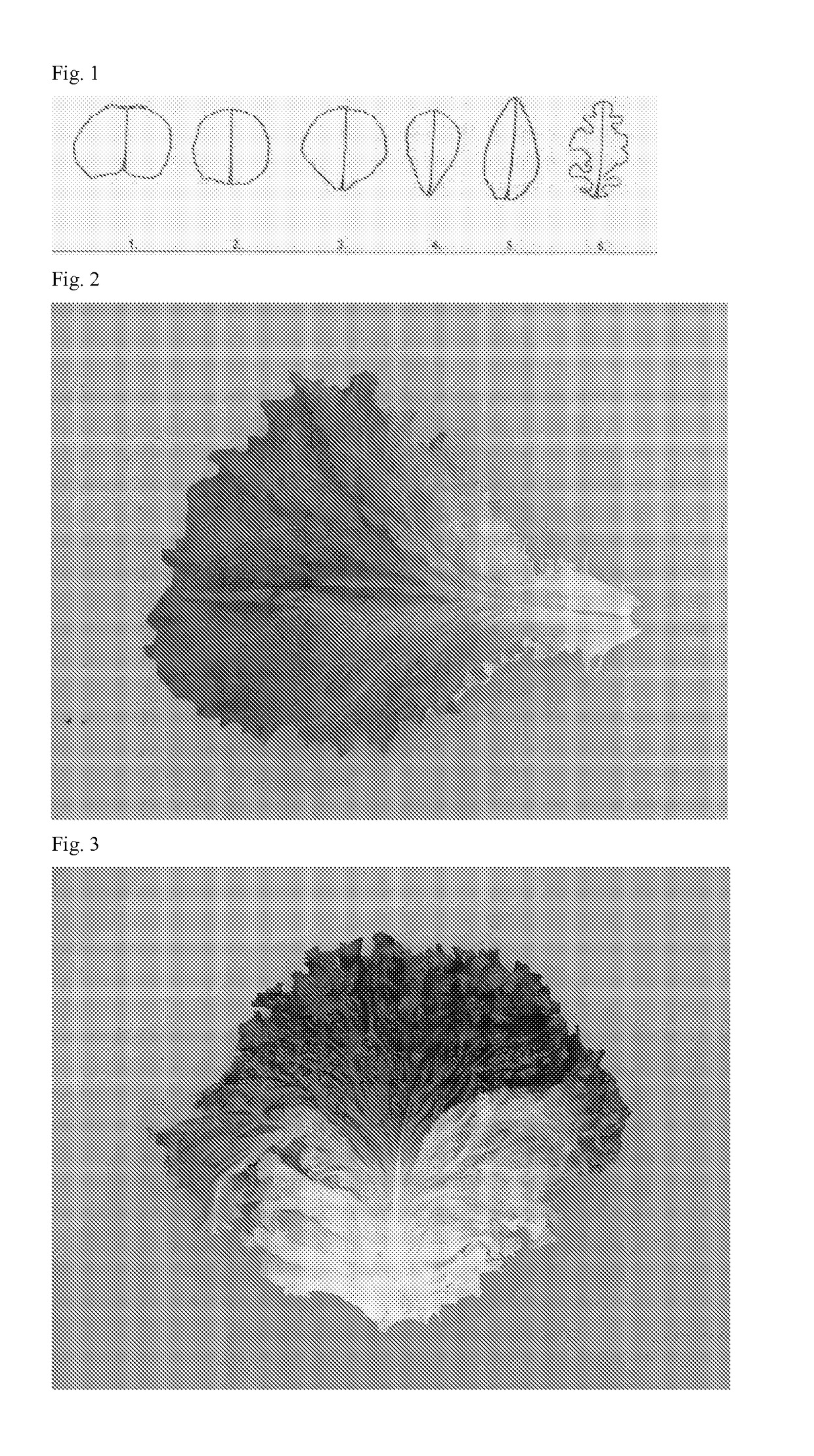 Lettuce variety 81-71 RZ