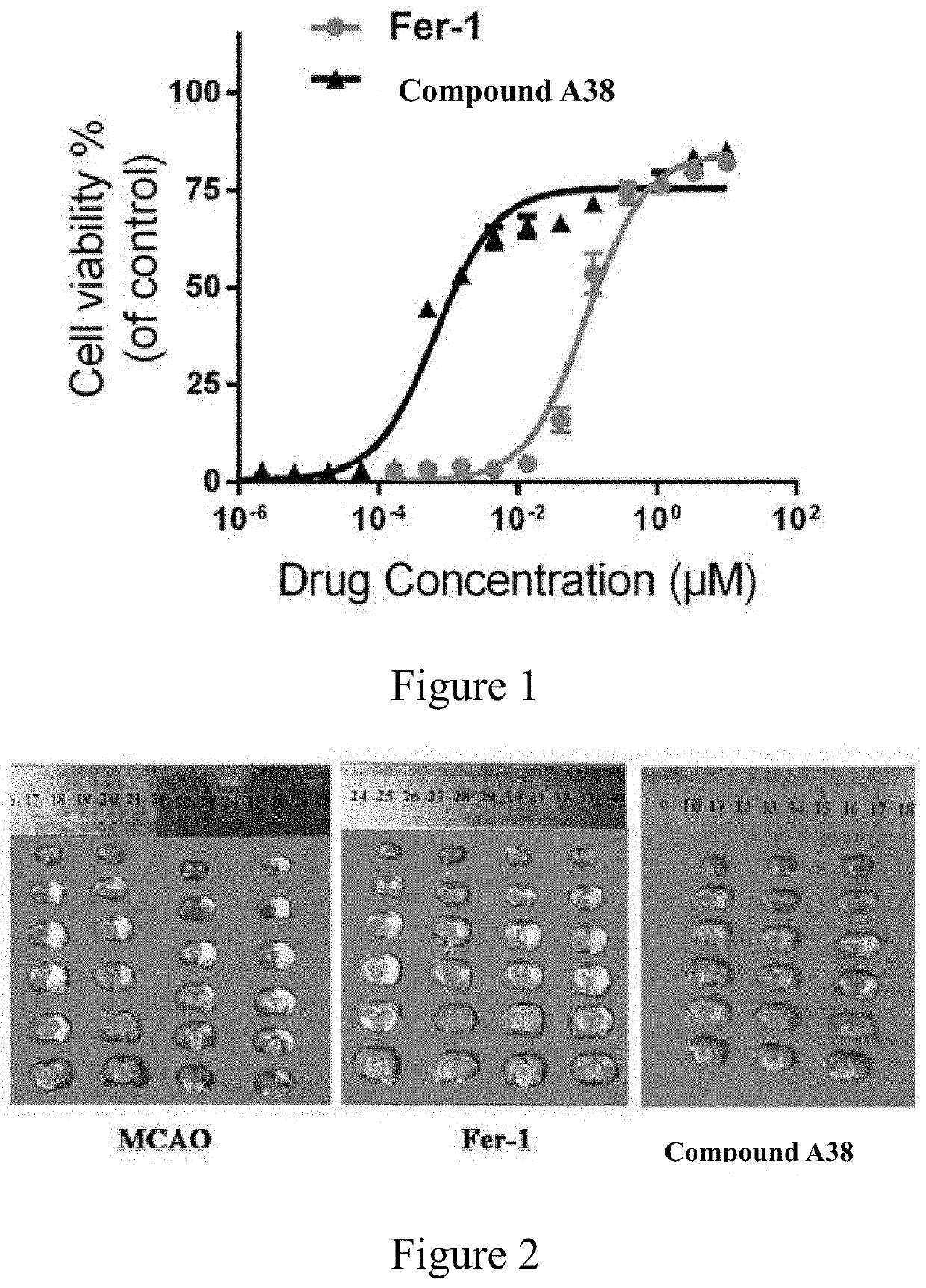 10H-phenothiazine ferroptosis inhibitor as well as the preparative method and the use thereof