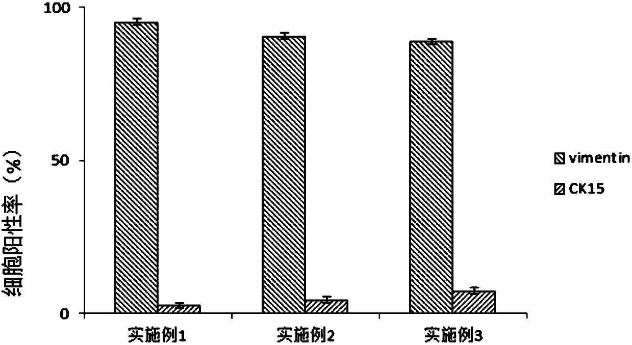 Culture medium and method for inducing fibroblasts to be differentiated into sweat gland cells