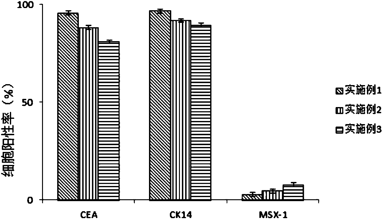 Culture medium and method for inducing fibroblasts to be differentiated into sweat gland cells