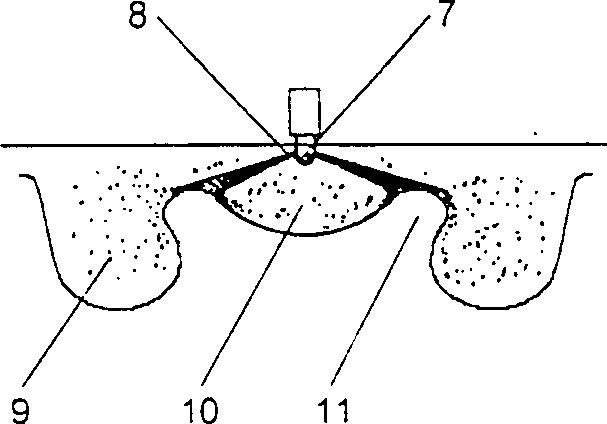 Direct injection diesel engine premixed combustion method and its device