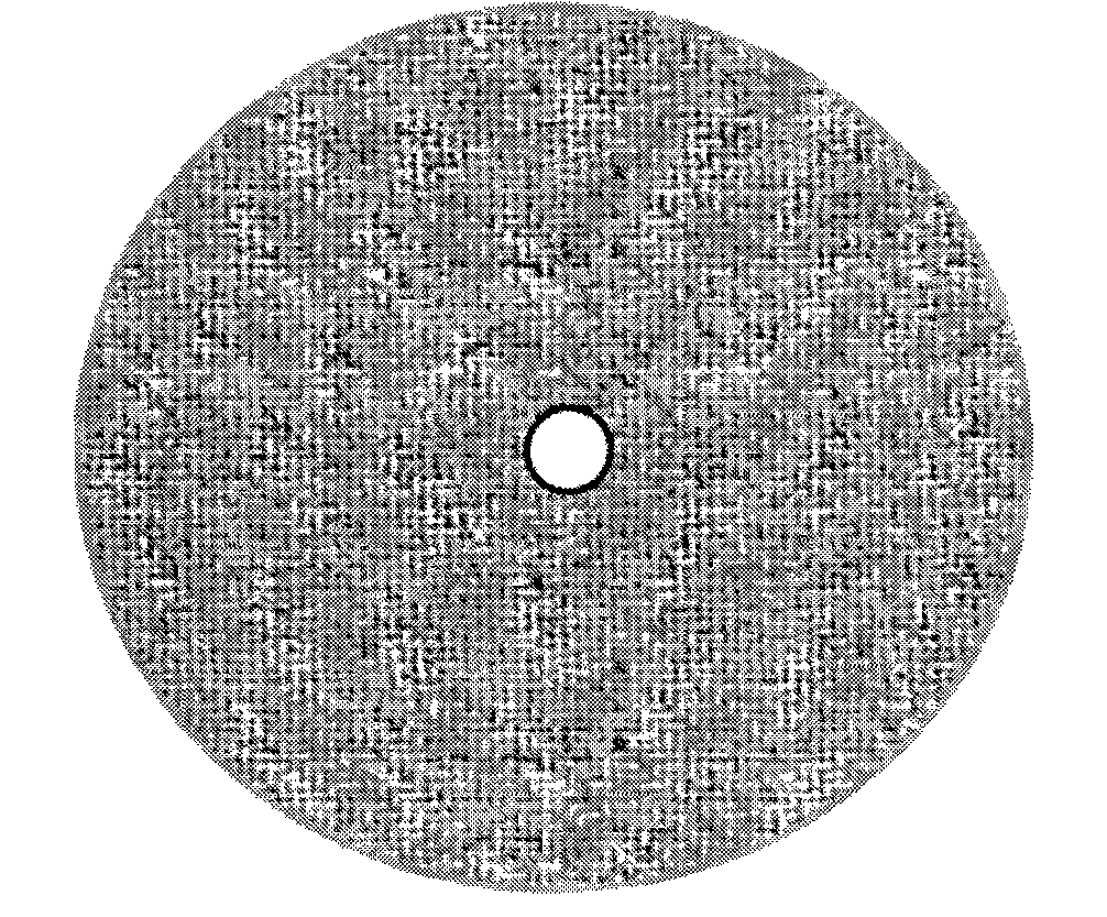 Photoelectric catalysis degrading organic reactor with swivel disc loaded with catalyst and degrading method