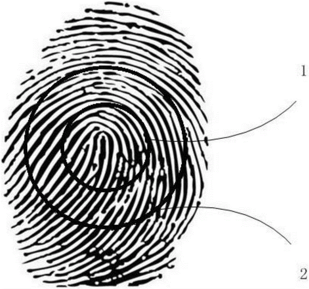 Fingerprint authentication method and terminal