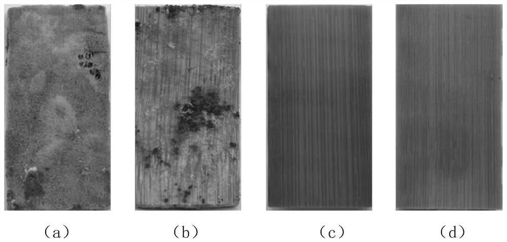 Bamboo wood with mildew-proof performance and modification method thereof