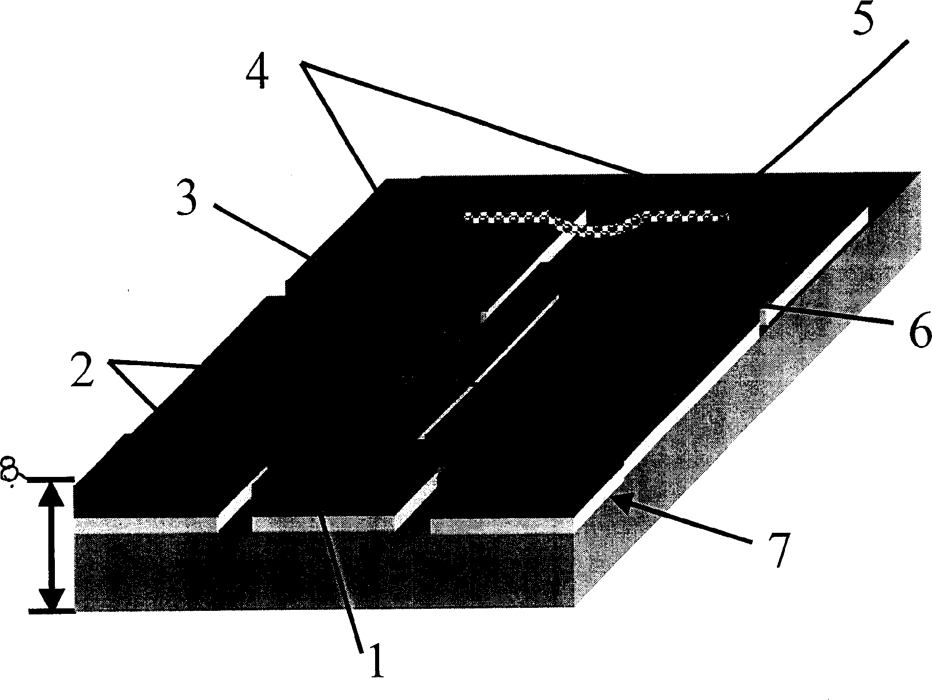 Single electron memory having carbon nano tube structure and process for making it