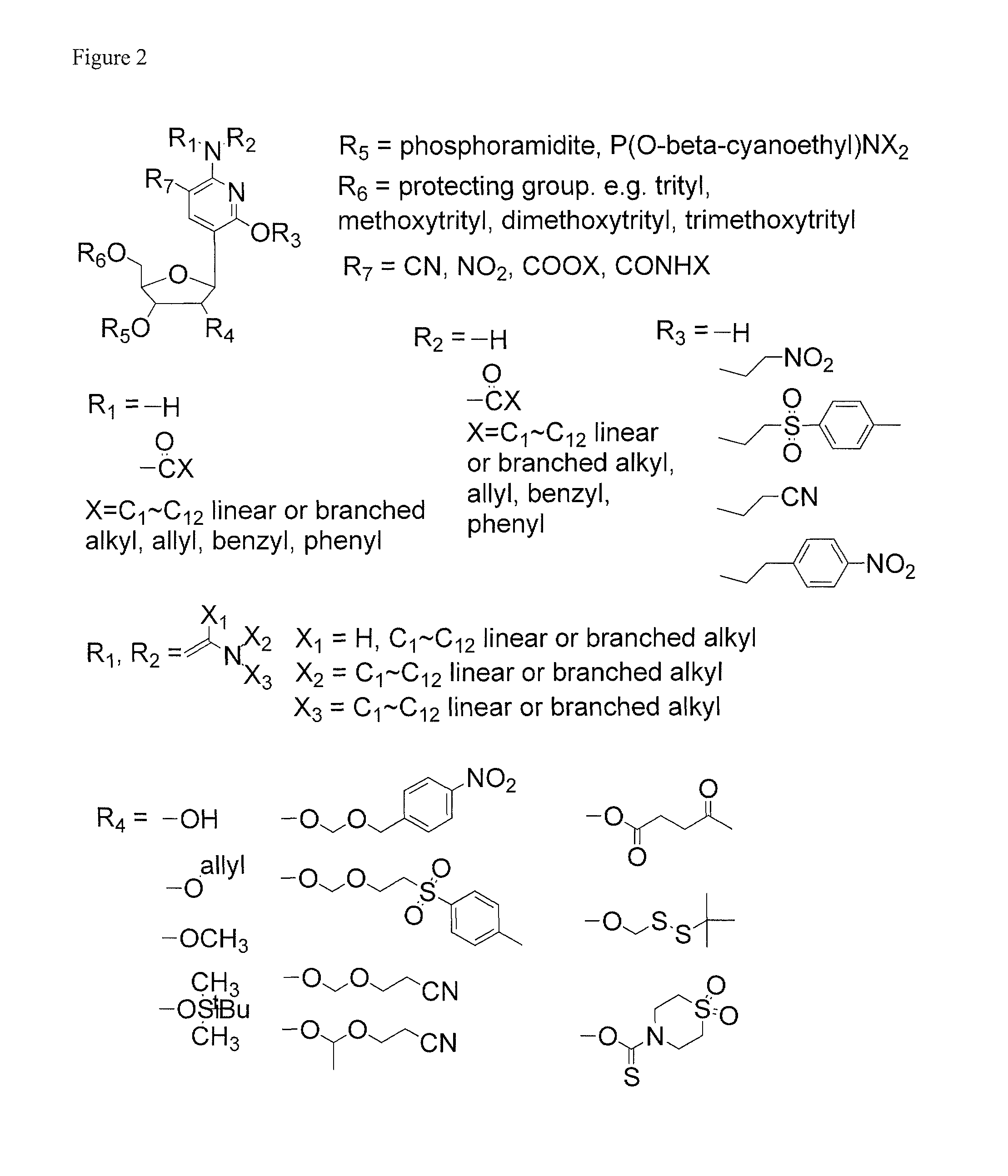 Ribonucleoside analogs with novel hydrogen bonding patterns