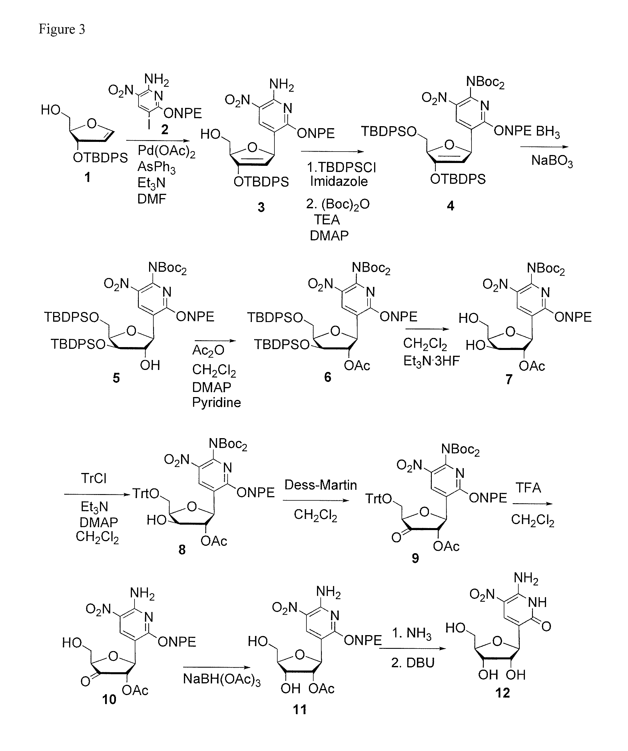 Ribonucleoside analogs with novel hydrogen bonding patterns