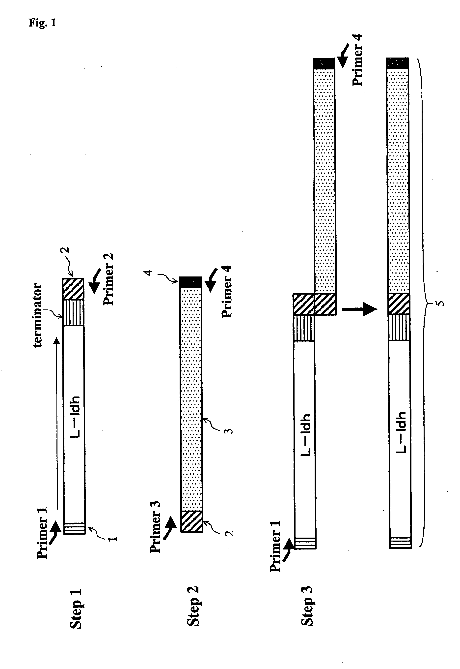 Yeast and Method of Producing L-Lactic Acid