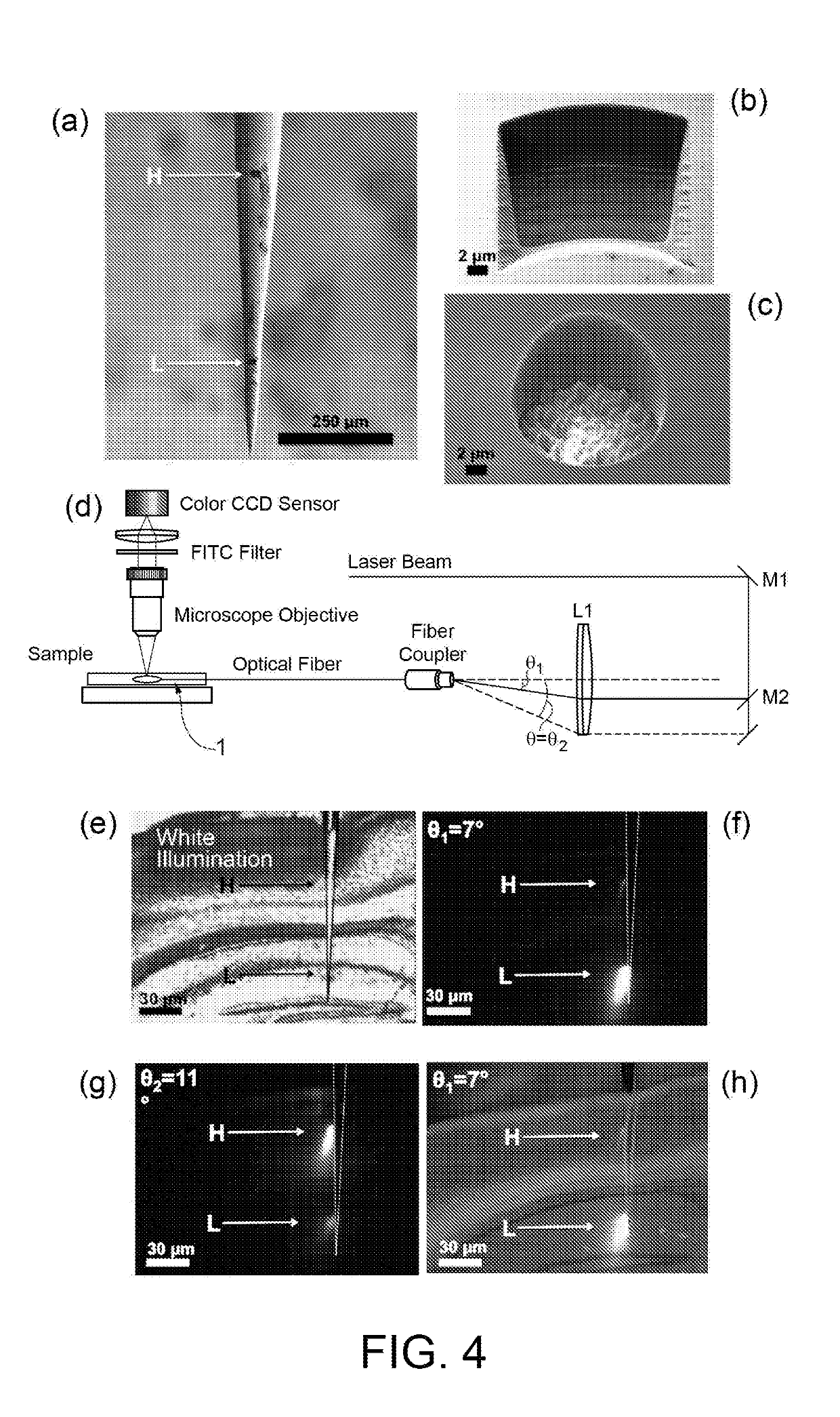 Optogenetic tool for multiple and independently addressing of patterned optical windows