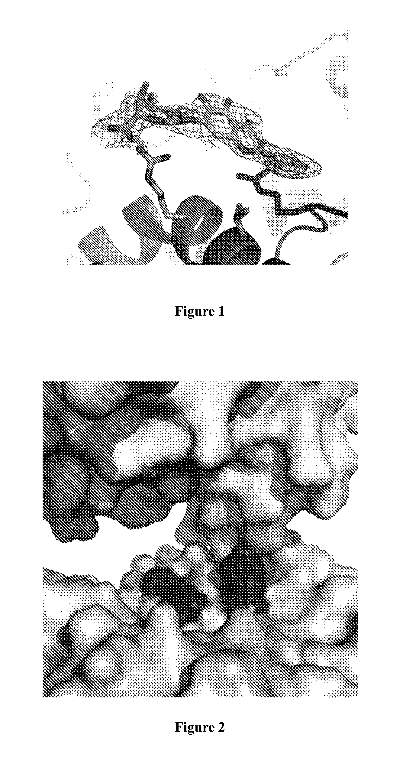 Application of baicalin in preparation of drug for treating ricin poisoning